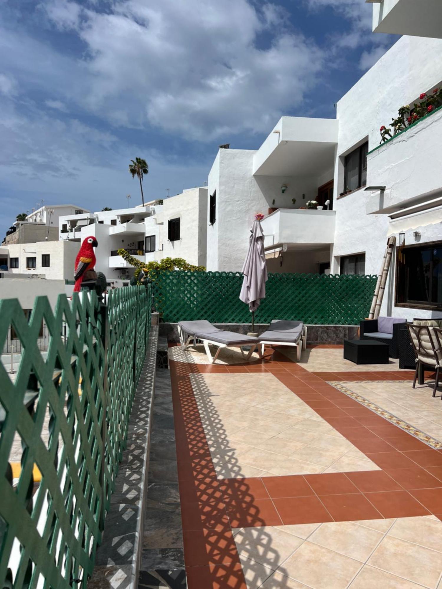 Lovely Apartment 2 Rooms With Big Terrace In Puerto Rico Puerto Rico  Exterior foto